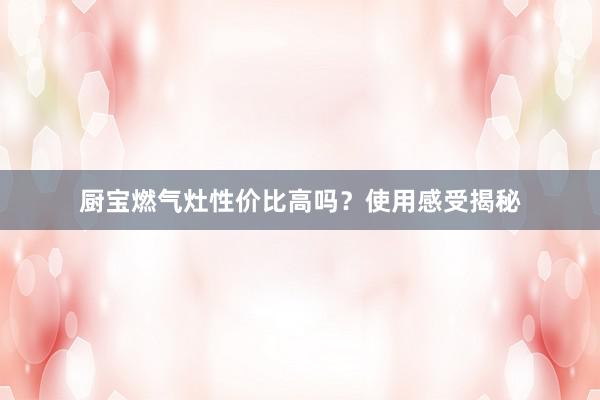 厨宝燃气灶性价比高吗？使用感受揭秘