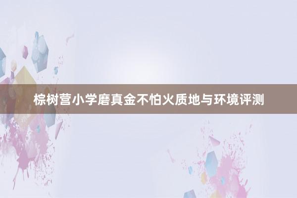 棕树营小学磨真金不怕火质地与环境评测