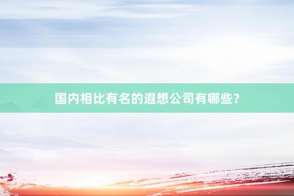 国内相比有名的遐想公司有哪些？